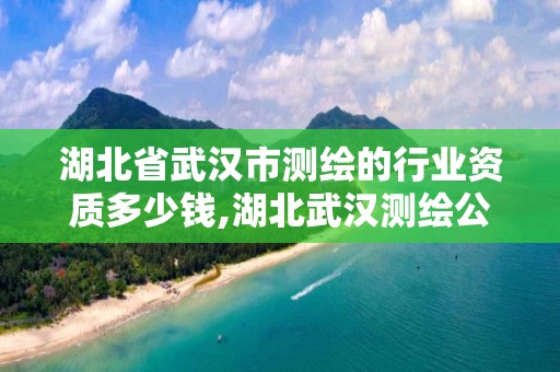 湖北省武漢市測繪的行業資質多少錢,湖北武漢測繪公司排行榜。