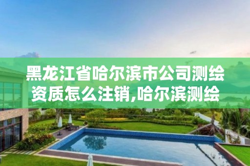 黑龍江省哈爾濱市公司測繪資質怎么注銷,哈爾濱測繪局是干什么的