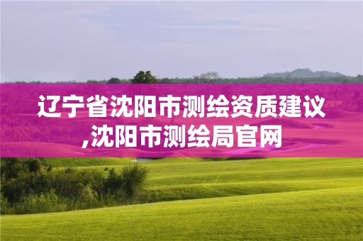 遼寧省沈陽市測繪資質建議,沈陽市測繪局官網