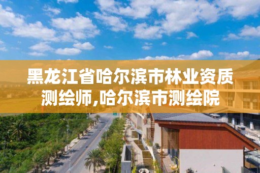 黑龍江省哈爾濱市林業資質測繪師,哈爾濱市測繪院