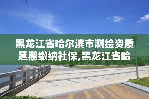 黑龍江省哈爾濱市測繪資質延期繳納社保,黑龍江省哈爾濱市測繪局