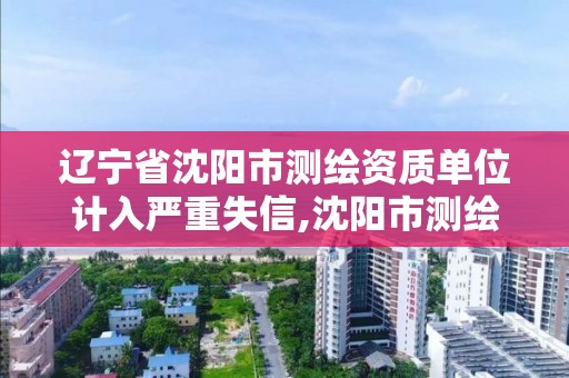 遼寧省沈陽市測繪資質單位計入嚴重失信,沈陽市測繪院是什么單位