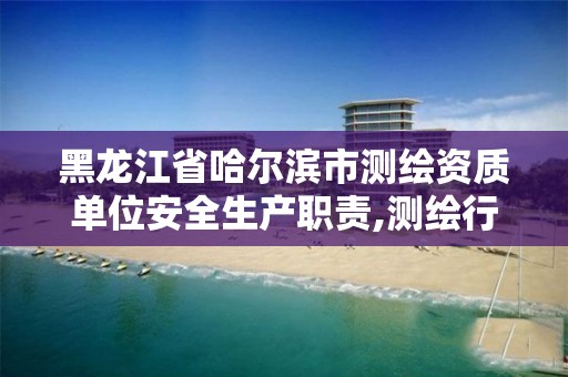 黑龍江省哈爾濱市測繪資質單位安全生產職責,測繪行業安全生產標準