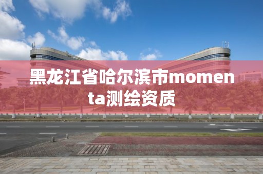 黑龍江省哈爾濱市momenta測繪資質