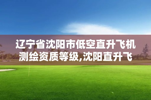 遼寧省沈陽市低空直升飛機測繪資質等級,沈陽直升飛機駕駛員培訓。