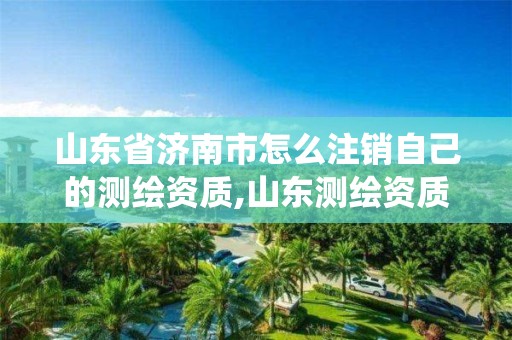 山東省濟南市怎么注銷自己的測繪資質,山東測繪資質管理系統。