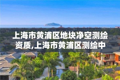 上海市黃浦區地塊凈空測繪資質,上海市黃浦區測繪中心