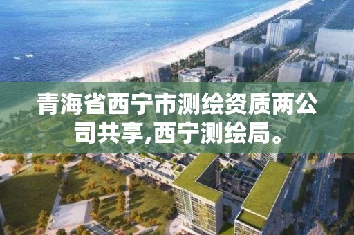 青海省西寧市測繪資質兩公司共享,西寧測繪局。