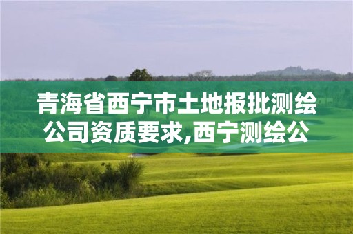 青海省西寧市土地報批測繪公司資質(zhì)要求,西寧測繪公司有哪些。