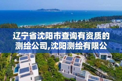 遼寧省沈陽市查詢有資質的測繪公司,沈陽測繪有限公司