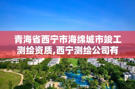 青海省西寧市海綿城市竣工測繪資質(zhì),西寧測繪公司有哪些