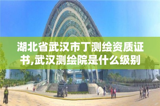 湖北省武漢市丁測繪資質證書,武漢測繪院是什么級別。