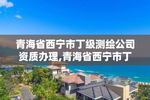 青海省西寧市丁級測繪公司資質辦理,青海省西寧市丁級測繪公司資質辦理電話