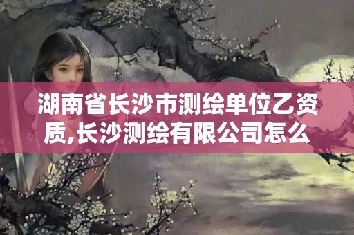 湖南省長沙市測(cè)繪單位乙資質(zhì),長沙測(cè)繪有限公司怎么樣