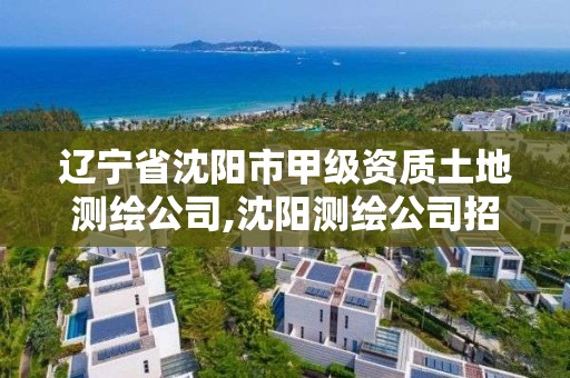 遼寧省沈陽市甲級資質土地測繪公司,沈陽測繪公司招聘信息最新招聘