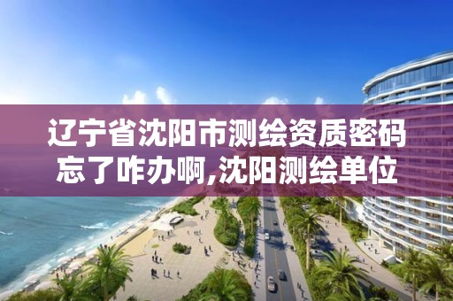 遼寧省沈陽市測繪資質密碼忘了咋辦啊,沈陽測繪單位