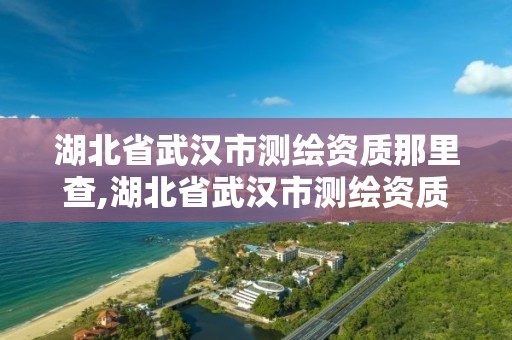 湖北省武漢市測繪資質那里查,湖北省武漢市測繪資質那里查的到