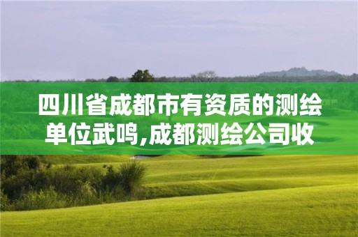 四川省成都市有資質的測繪單位武鳴,成都測繪公司收費標準。