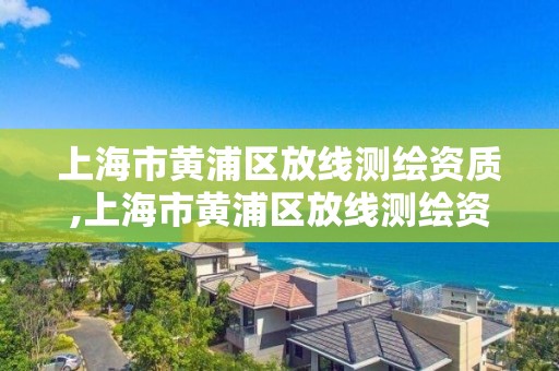 上海市黃浦區放線測繪資質,上海市黃浦區放線測繪資質企業名單