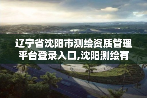 遼寧省沈陽市測繪資質管理平臺登錄入口,沈陽測繪有限公司