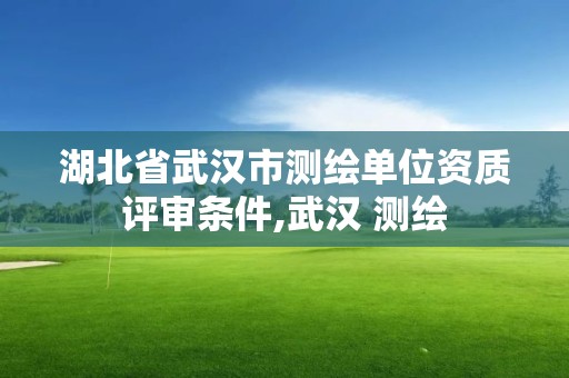 湖北省武漢市測繪單位資質評審條件,武漢 測繪