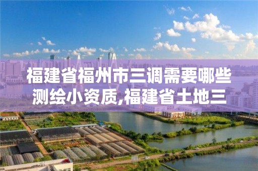 福建省福州市三調需要哪些測繪小資質,福建省土地三調成果。