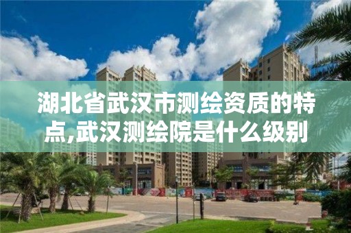 湖北省武漢市測繪資質的特點,武漢測繪院是什么級別