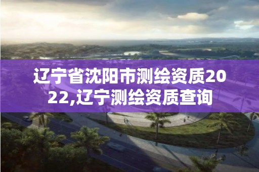 遼寧省沈陽市測繪資質2022,遼寧測繪資質查詢