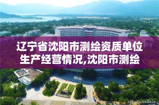 遼寧省沈陽市測繪資質單位生產經營情況,沈陽市測繪局官網。