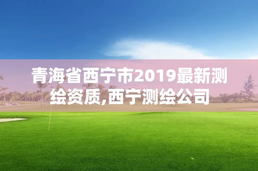 青海省西寧市2019最新測繪資質,西寧測繪公司