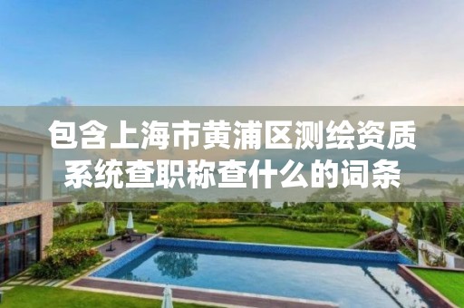 包含上海市黃浦區測繪資質系統查職稱查什么的詞條