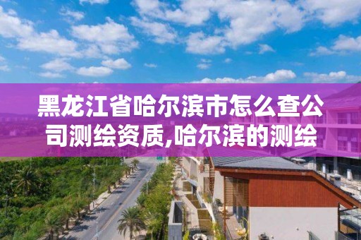 黑龍江省哈爾濱市怎么查公司測繪資質,哈爾濱的測繪公司有哪些