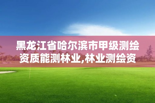 黑龍江省哈爾濱市甲級測繪資質能測林業,林業測繪資質哪里辦理