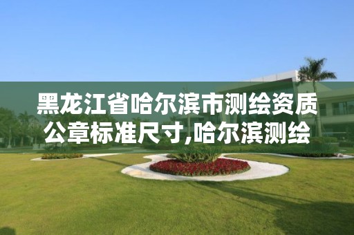 黑龍江省哈爾濱市測繪資質(zhì)公章標(biāo)準(zhǔn)尺寸,哈爾濱測繪局怎么樣