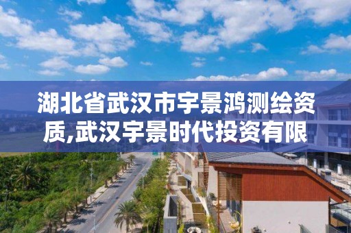 湖北省武漢市宇景鴻測繪資質,武漢宇景時代投資有限公司。