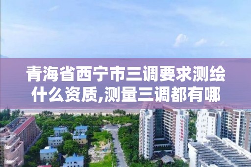 青海省西寧市三調要求測繪什么資質,測量三調都有哪些工作