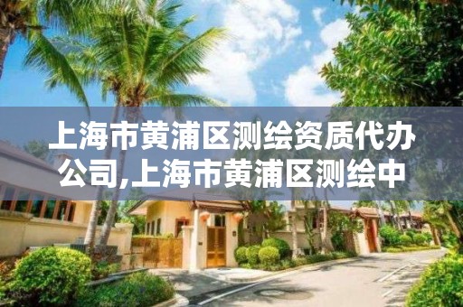 上海市黃浦區測繪資質代辦公司,上海市黃浦區測繪中心