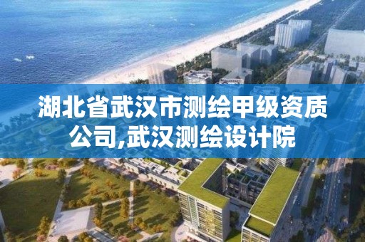 湖北省武漢市測繪甲級資質公司,武漢測繪設計院