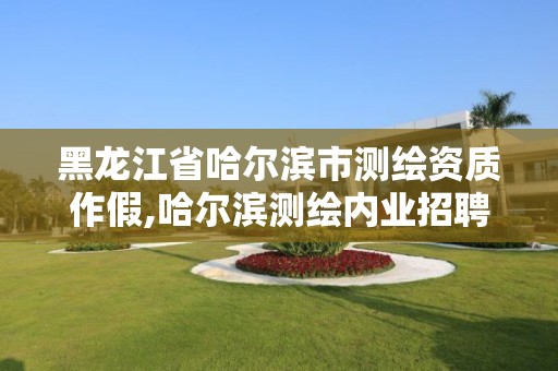 黑龍江省哈爾濱市測繪資質作假,哈爾濱測繪內業招聘信息