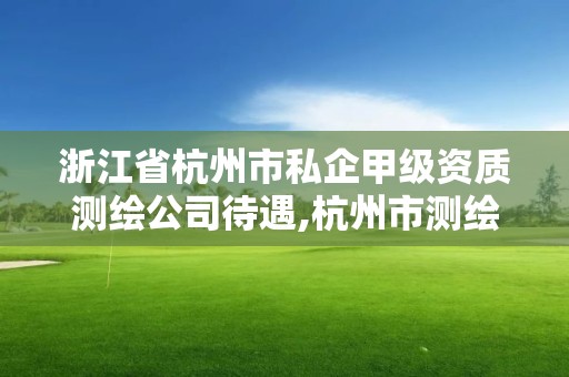 浙江省杭州市私企甲級資質測繪公司待遇,杭州市測繪比較不錯的公司。