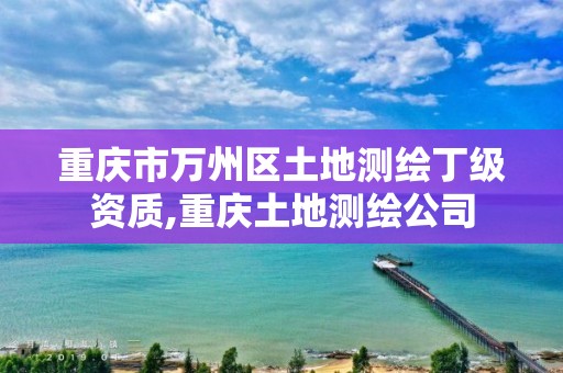 重慶市萬州區(qū)土地測繪丁級資質(zhì),重慶土地測繪公司