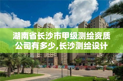 湖南省長沙市甲級測繪資質公司有多少,長沙測繪設計院。