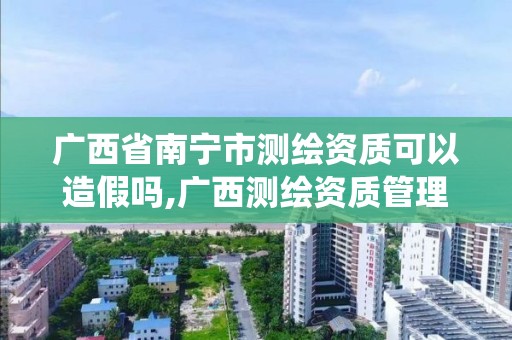 廣西省南寧市測繪資質可以造假嗎,廣西測繪資質管理系統