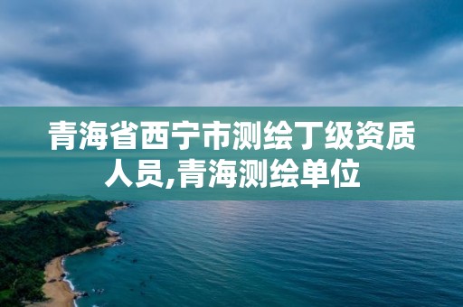 青海省西寧市測繪丁級資質人員,青海測繪單位