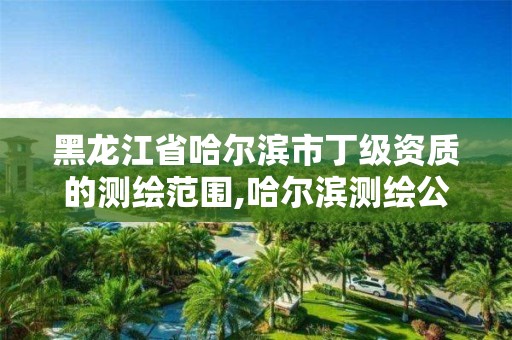 黑龍江省哈爾濱市丁級資質的測繪范圍,哈爾濱測繪公司哪家好