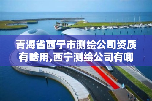 青海省西寧市測繪公司資質有啥用,西寧測繪公司有哪些