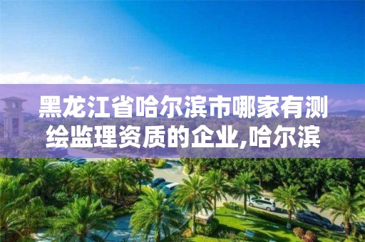 黑龍江省哈爾濱市哪家有測繪監理資質的企業,哈爾濱測繪專科學校。