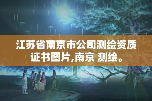 江蘇省南京市公司測繪資質證書圖片,南京 測繪。