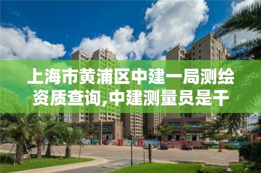 上海市黃浦區中建一局測繪資質查詢,中建測量員是干什么的。