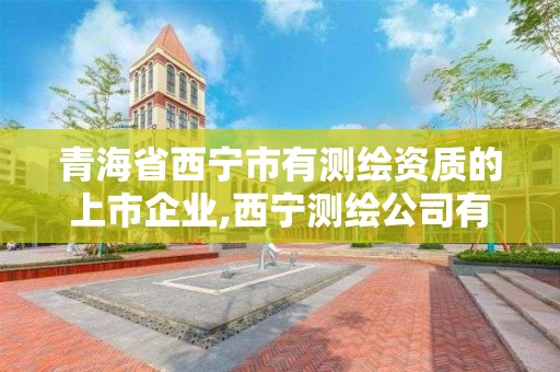 青海省西寧市有測繪資質(zhì)的上市企業(yè),西寧測繪公司有哪些。